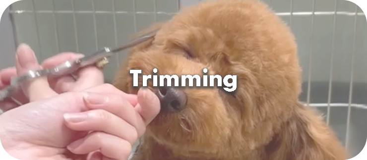 triming